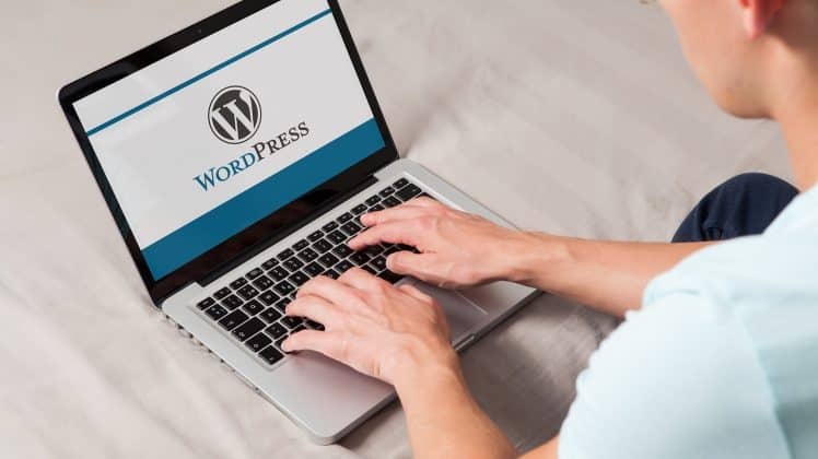 WordPress Developer