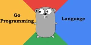 Understanding the Go Programming Language - Developers, Designers ...