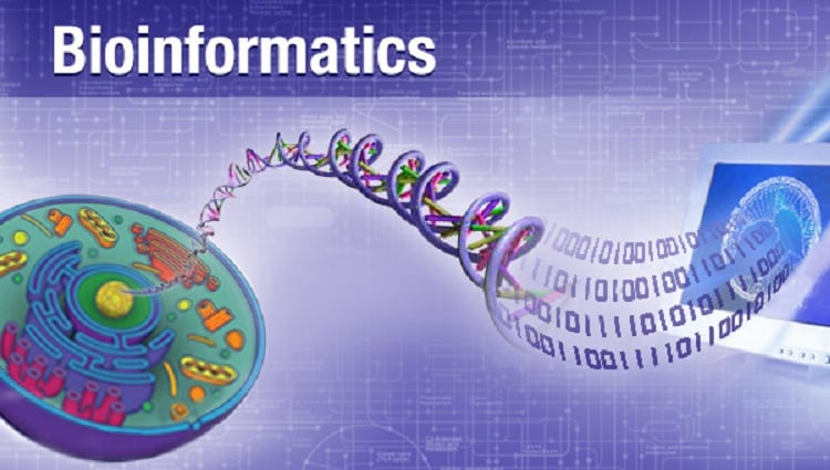 bioinformatic programming