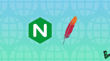 Nginx Along With Apache