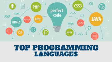 Programming Language for developing website