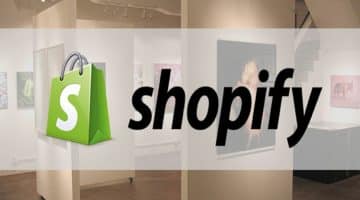 Successful Shopify Business