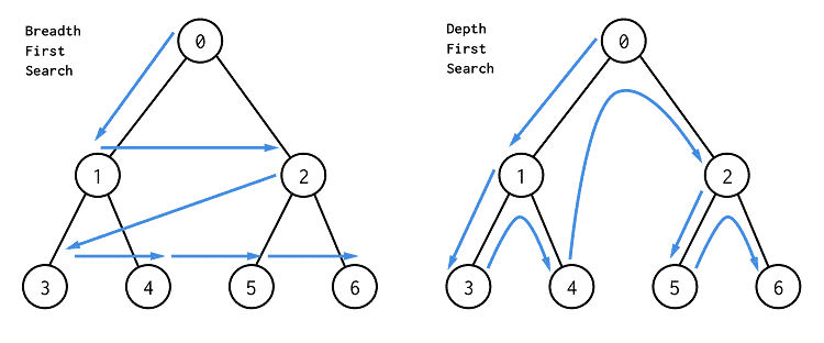 BFS vs DFS Algorithms