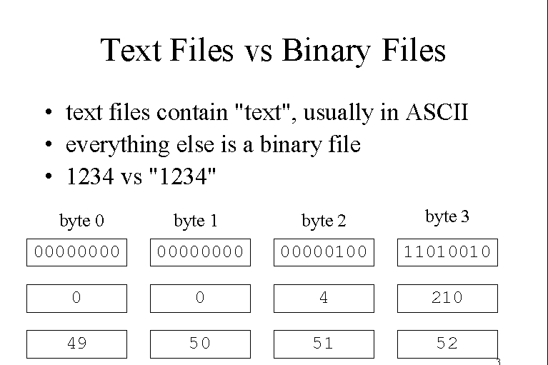what-s-the-difference-between-text-file-and-binary-file-developers-designers-freelancers